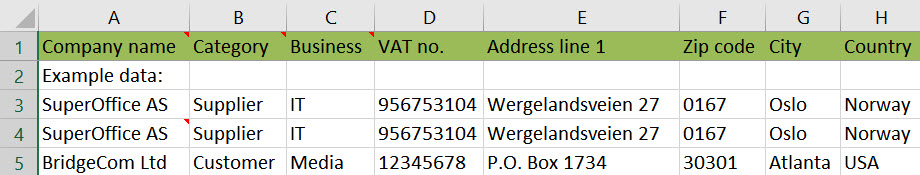 Preview of an import template mae in Excel, for companies and contacts